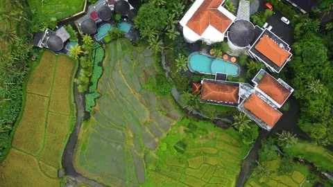 Luxury resort and rice fields aerial view in ubud bali 库存影片 336648190