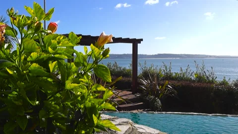 Luxury resort infinity pool overlooking the Atlantic ocean Stock Footage 336955908