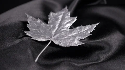 Luxury silver Canadian maple leaf rotating on black 4k. Stock Footage 97353439