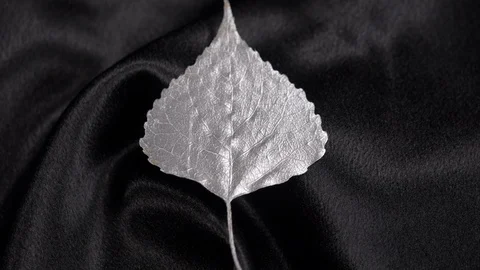 Luxury silver populus leaf rotating on black 4k. Stock Footage 97357955