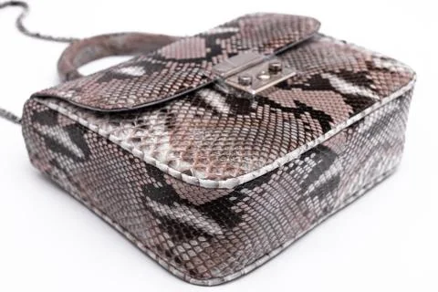 Luxury snakeskin python leather handbag isolated on a white background. Stock Photos