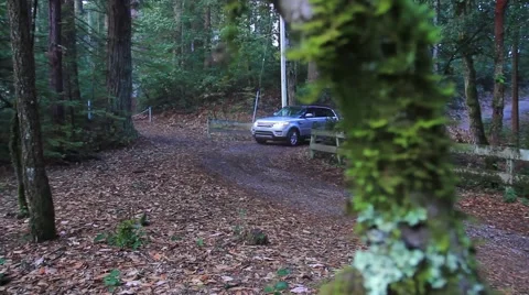 Luxury SUV-around corner in forest 3.mp4 Stock Footage 55268222