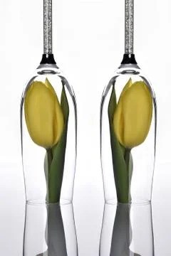 Luxury table decor Stock Photos