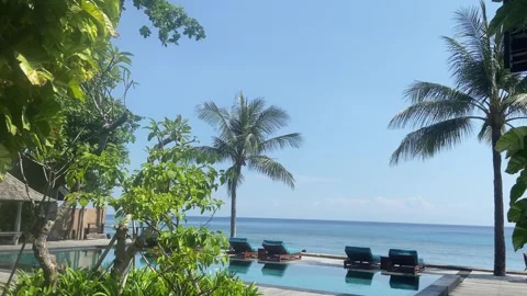 Luxury Tropical Infinity Pool with Ocean View and Palm Trees Stock Footage 340435473