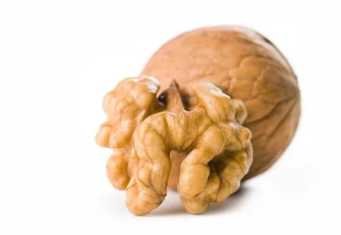 Luxury walnut. Stock Photos