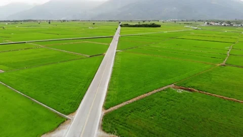 Luye 1 動画素材 212100296