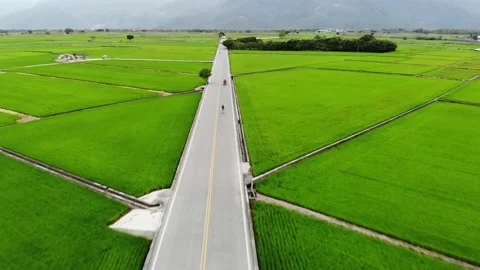 Luye 2 動画素材 212100188