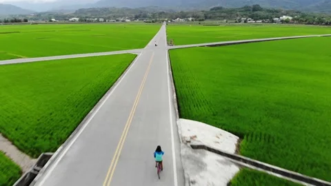 Luye 3 動画素材 212100086