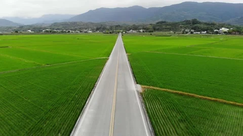 Luye 4 動画素材 212100285