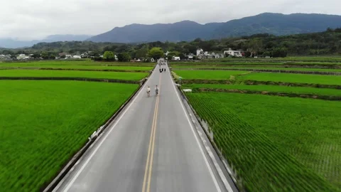 Luye 5 動画素材 212099994