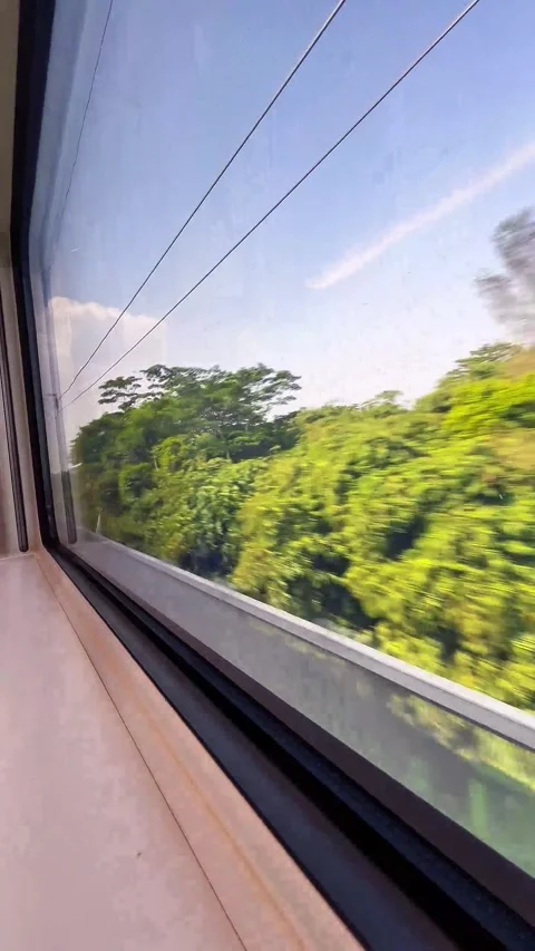 Lv 0 20260519162655 Stock Footage 335764262