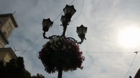 Lviv Town Hall Stock Footage 36778568