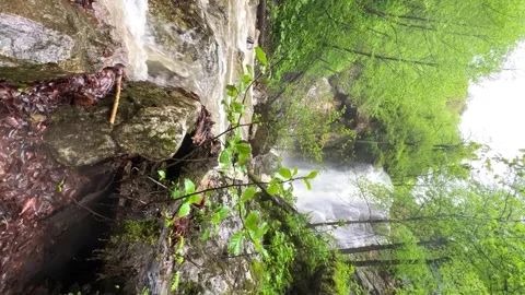 Lyazhginsky waterfall in the spring forest.  Stock Footage 263791066