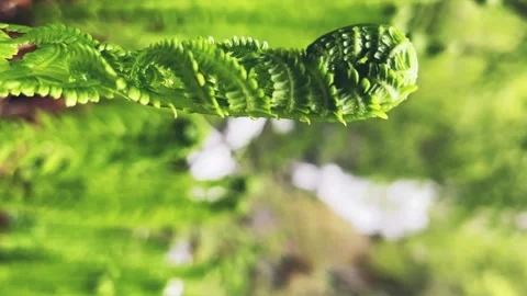 Lyazhginsky waterfall in the spring forest.  Stock Footage 268306250