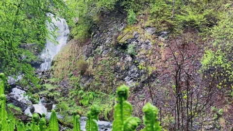 Lyazhginsky waterfall in the spring forest.  Video stock 273368088