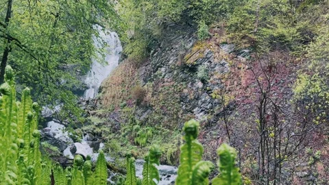 Lyazhginsky waterfall in the spring forest.  Stock Footage 273368411