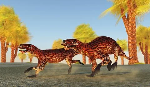 Lycaenops Animals Hunting Stock Illustration