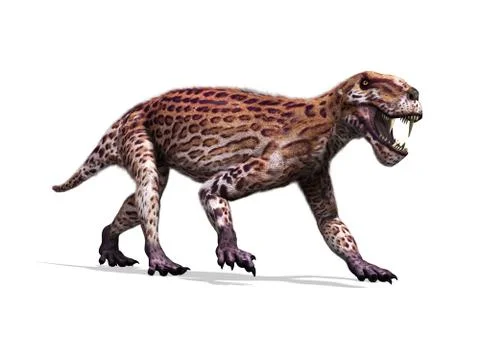 Lycaenops Stock Illustration