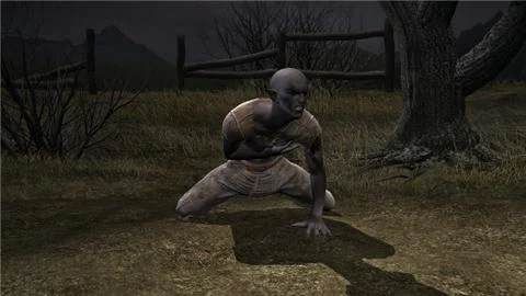 Lycanthrope Stock Illustration