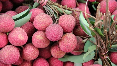 Lychee 1 Stock Footage 79067264