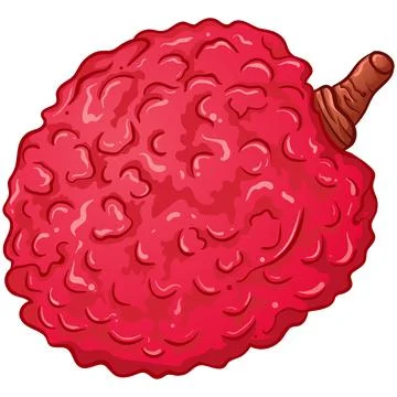 Lychee berry fruit Stock Illustration