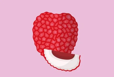 Lychee Concept Illustration Stock Illustration