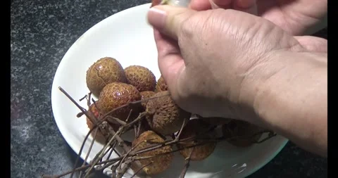 Lychee Stock Footage 311307307