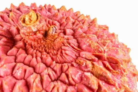 Lychee fruit on the background of close-up macro Stock Photos