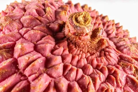 Lychee fruit on the background of close-up macro Fotos Stock