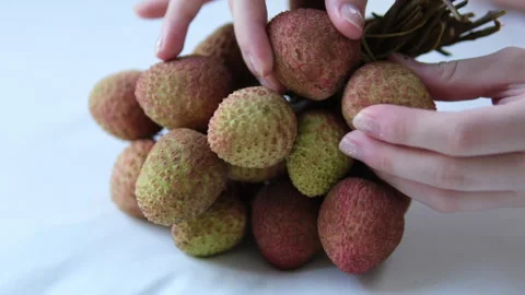 Lychee fruit bunch Close-up of a lychee bunch hanging on a branch, rough red Stock Footage 310155809