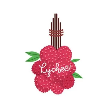 Lychee fruit bunch on tree branch with leaves. Hand drawn colorful flat vecto Stock Illustration