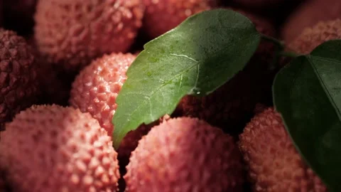 Lychee fruit. Camera slowly pans up to show beautiful juicy lychee fruit. Macro Stock-Footage 170142477