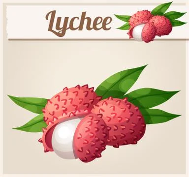 Lychee fruit. Cartoon vector Icon Stock Illustration