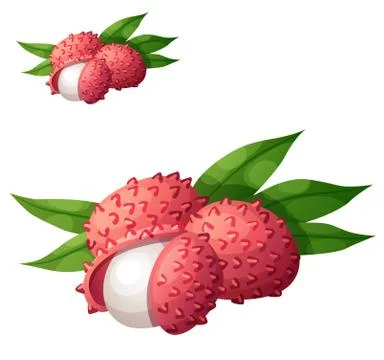 Lychee fruit. Cartoon vector icon isolated Stock Illustration
