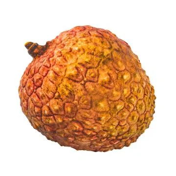 Lychee fruit close-up 3d rendering with realistic texture Stock Illustration