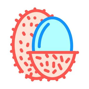 Lychee fruit color icon vector illustration Stock Illustration