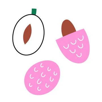 Lychee fruit doodle Vector illustration Stock Illustration