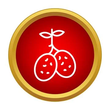 Lychee fruit icon on red button with golden border 스톡 일러스트