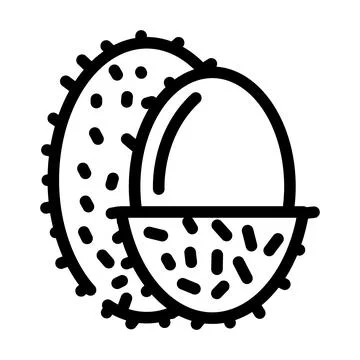 Lychee fruit line icon vector illustration Stock Illustration
