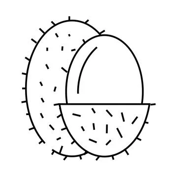 Lychee fruit line icon vector illustration Stock Illustration