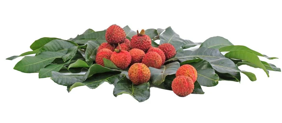 Lychee fruit Foto stock