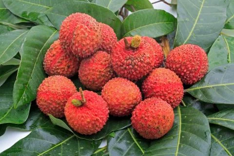 Lychee fruit Stock Photos
