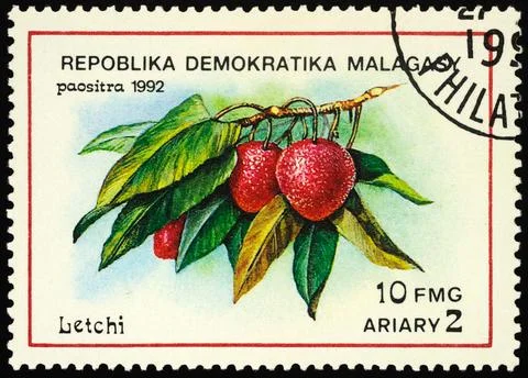 Lychee fruit on postage stamp Stock Photos