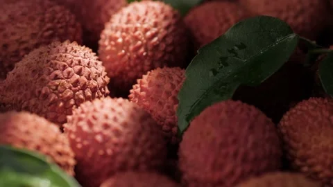 Lychee fruit. Sunbeam slowly illuminates lychee fruit in shadow. Close-up Vidéo 170142464