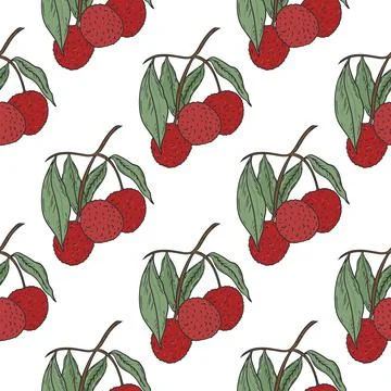 Lychee fruit on twig seamless pattern Stock Illustration