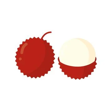 Lychee fruit vector design isolated on white background Illustrazione stock