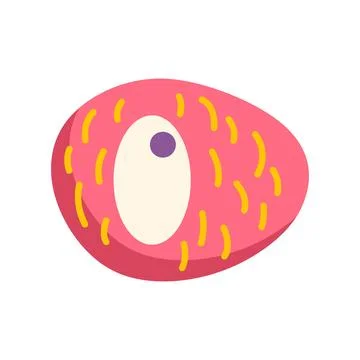 Lychee fruit vector illustration on white background Stock Illustration