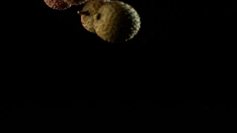 Lychee fruits falling slow motion HD 2 Stock Footage 253059692