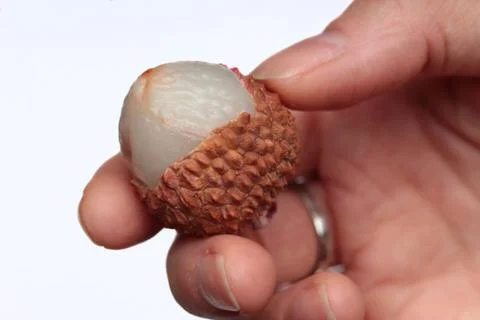 Lychee in hand on white background Stock Photos