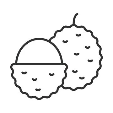 Lychee icon in line design. lychee fruit tropical food fresh organic sweet Illustration